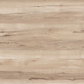 Mountain Maple